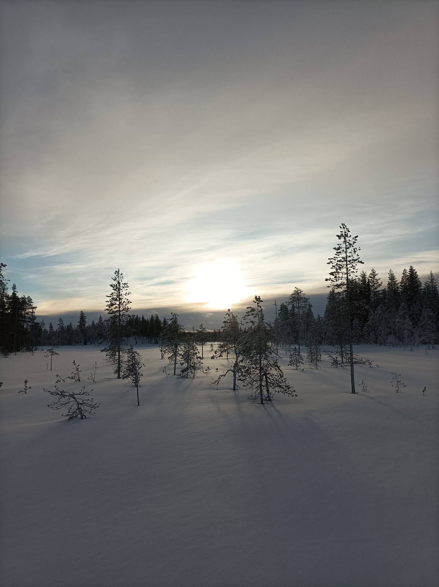 Kotimäki 614-403-21-3 1