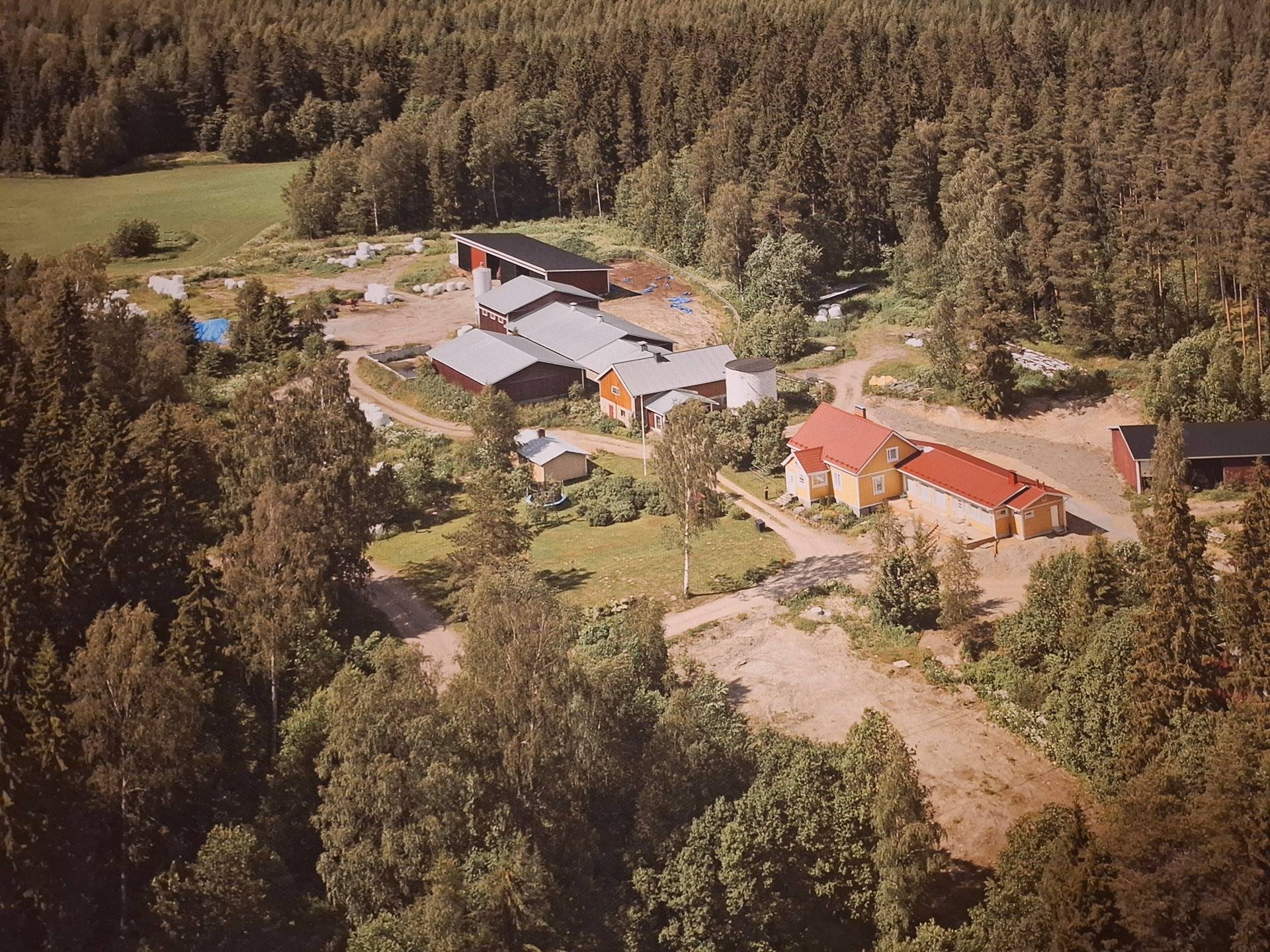 PÄLKÄNE-RUOTSILA-YLTIÖ 1