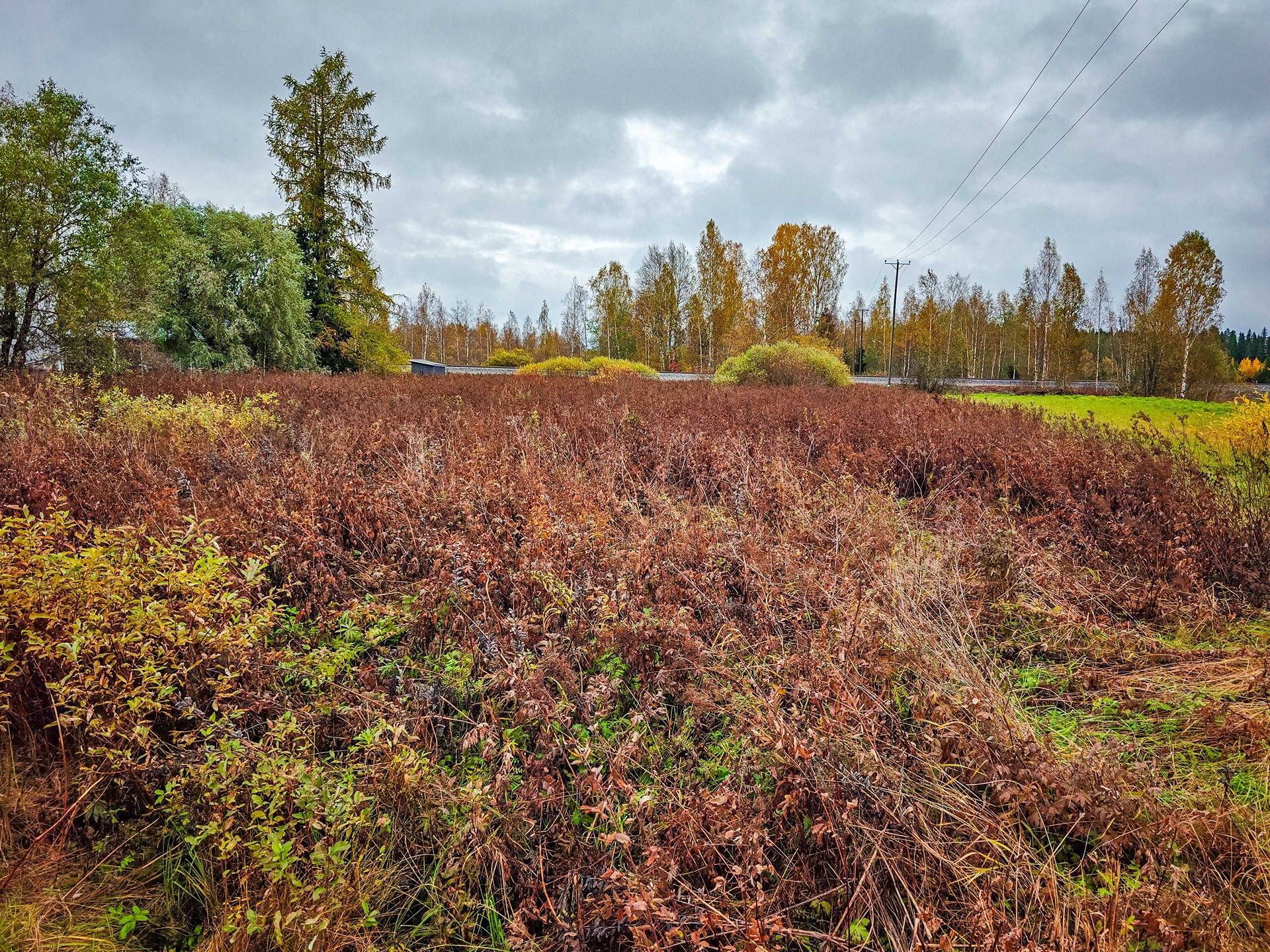 Seinäjoki, Nurmo, Salomäki 743-404-6-123 ja Tausta 743-404-6-301 1