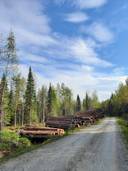 Kuusamon yhteismetsä osuus 0,016600 1