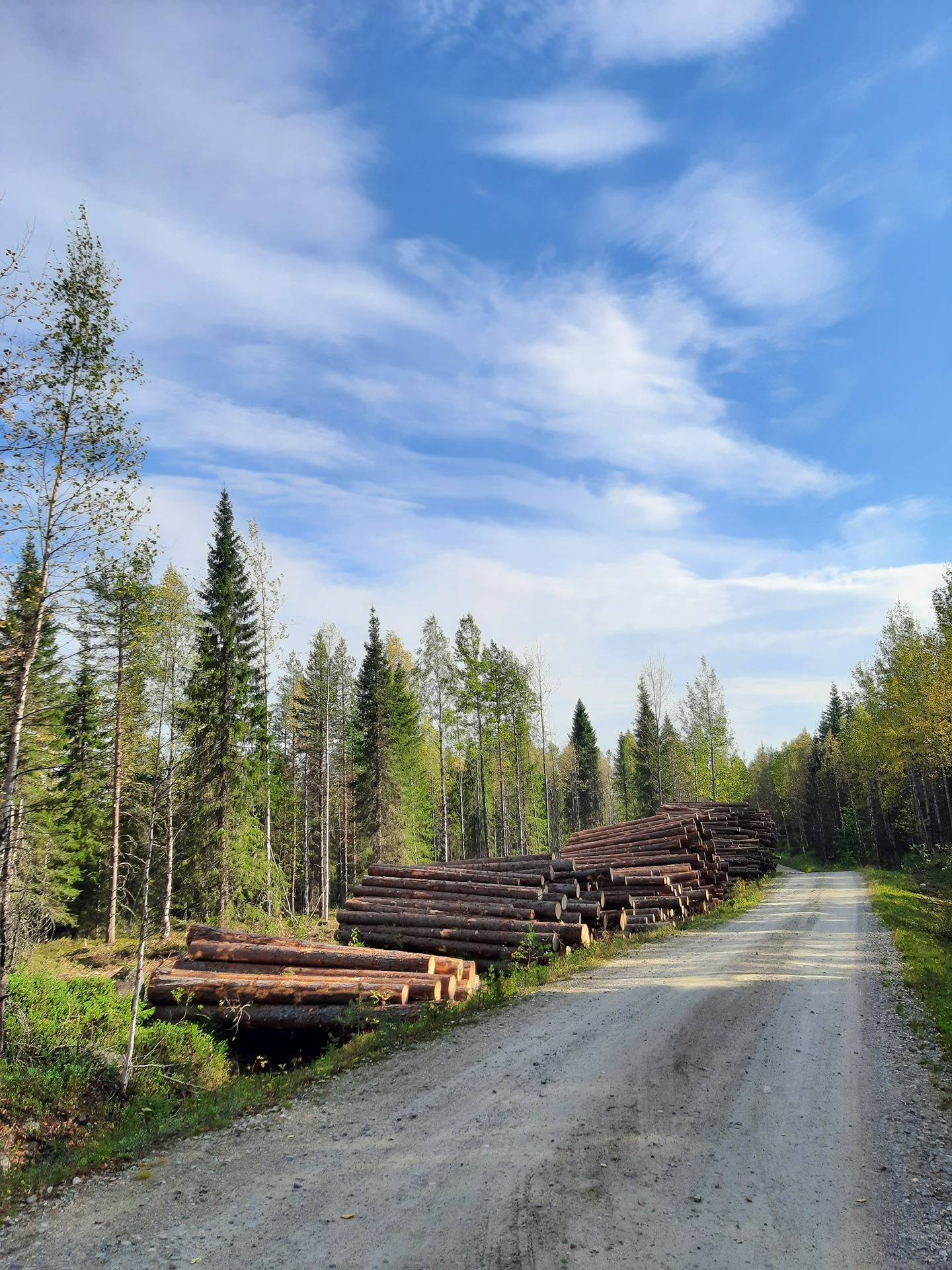 Kuusamon yhteismetsä osuus 0,016600 1