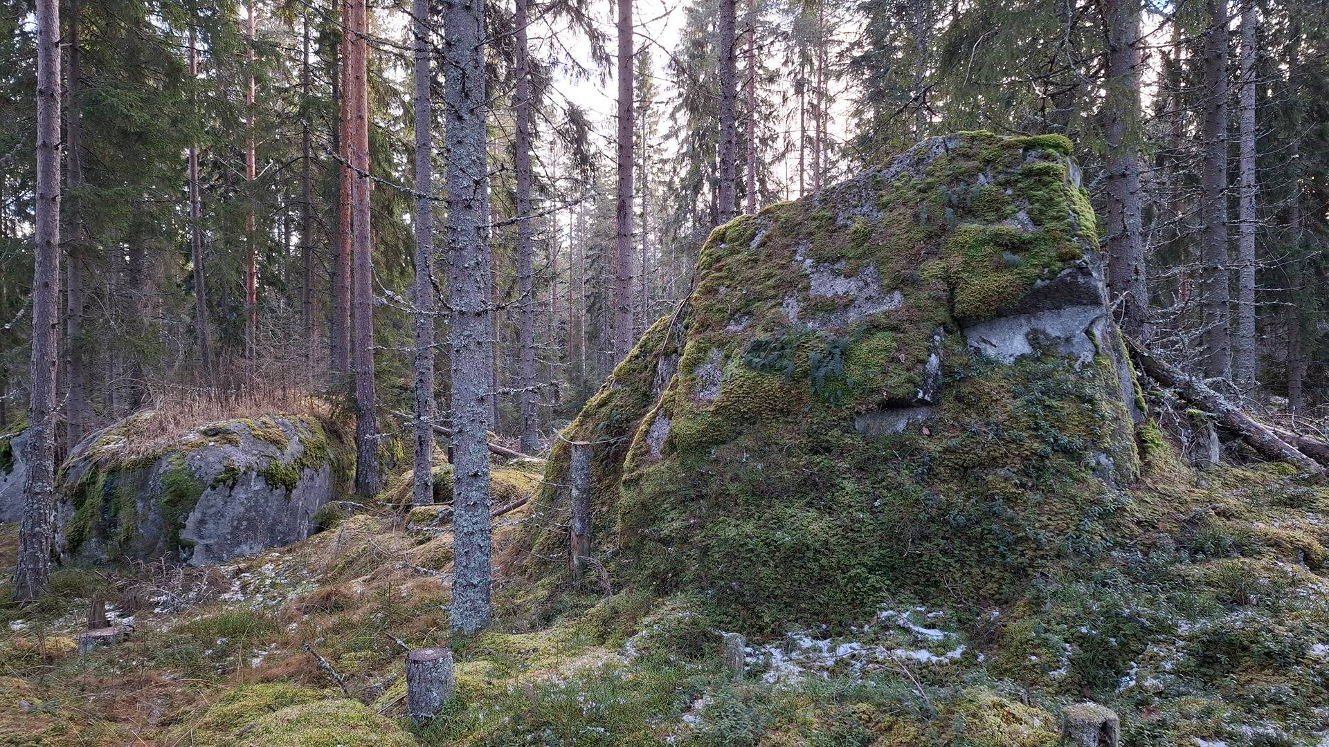 MÄNTYMÄKI 1:70, Kiikka / Sastamala 1