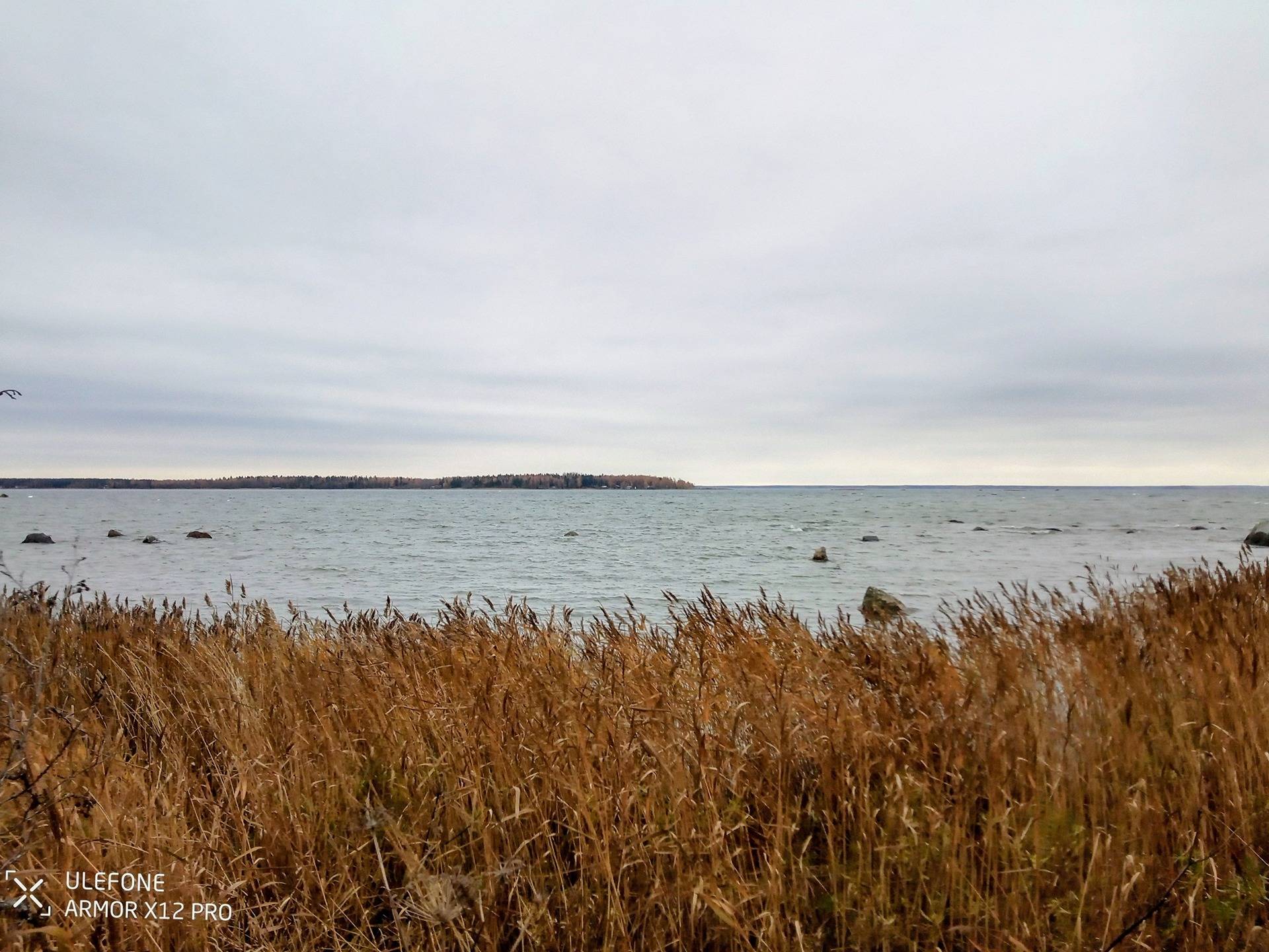 Strandhagen 10:145, Bergö 1