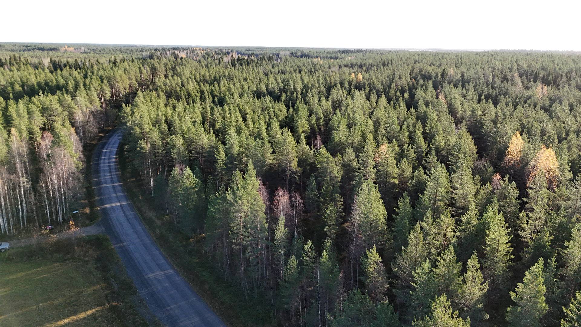 MÄNTYNIEMI 889-403-46-4 määräala n.19,08 hehtaaria n.21 km Utajärven kk:ltä 1