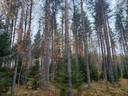 Kortelahti 249-401-4-11 ja Lisä-Kortelahti 249-401-4-21 1