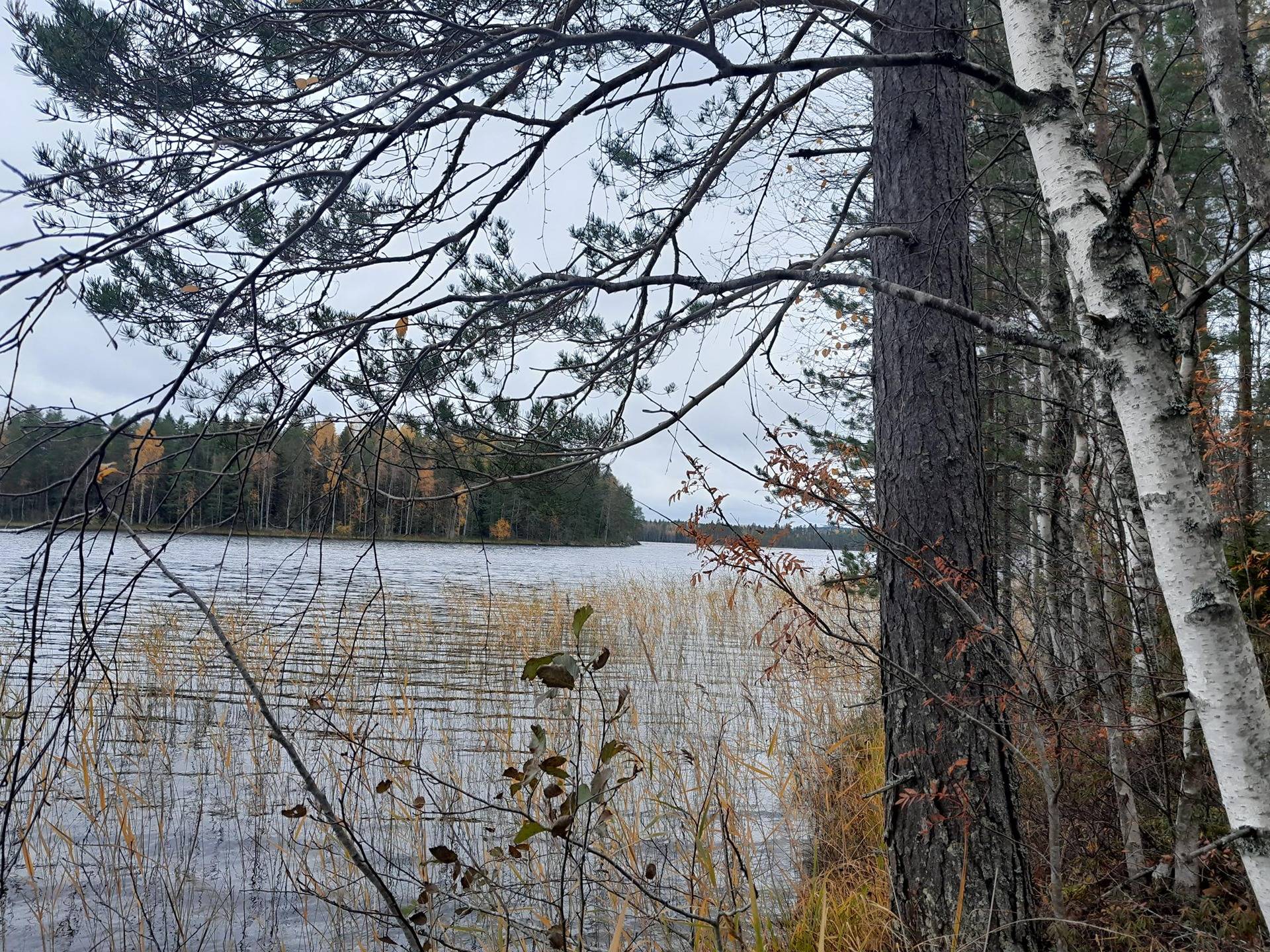 Laihanniitty 249-401-4-25 1