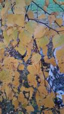 Storgård 7:45, Nyby 1