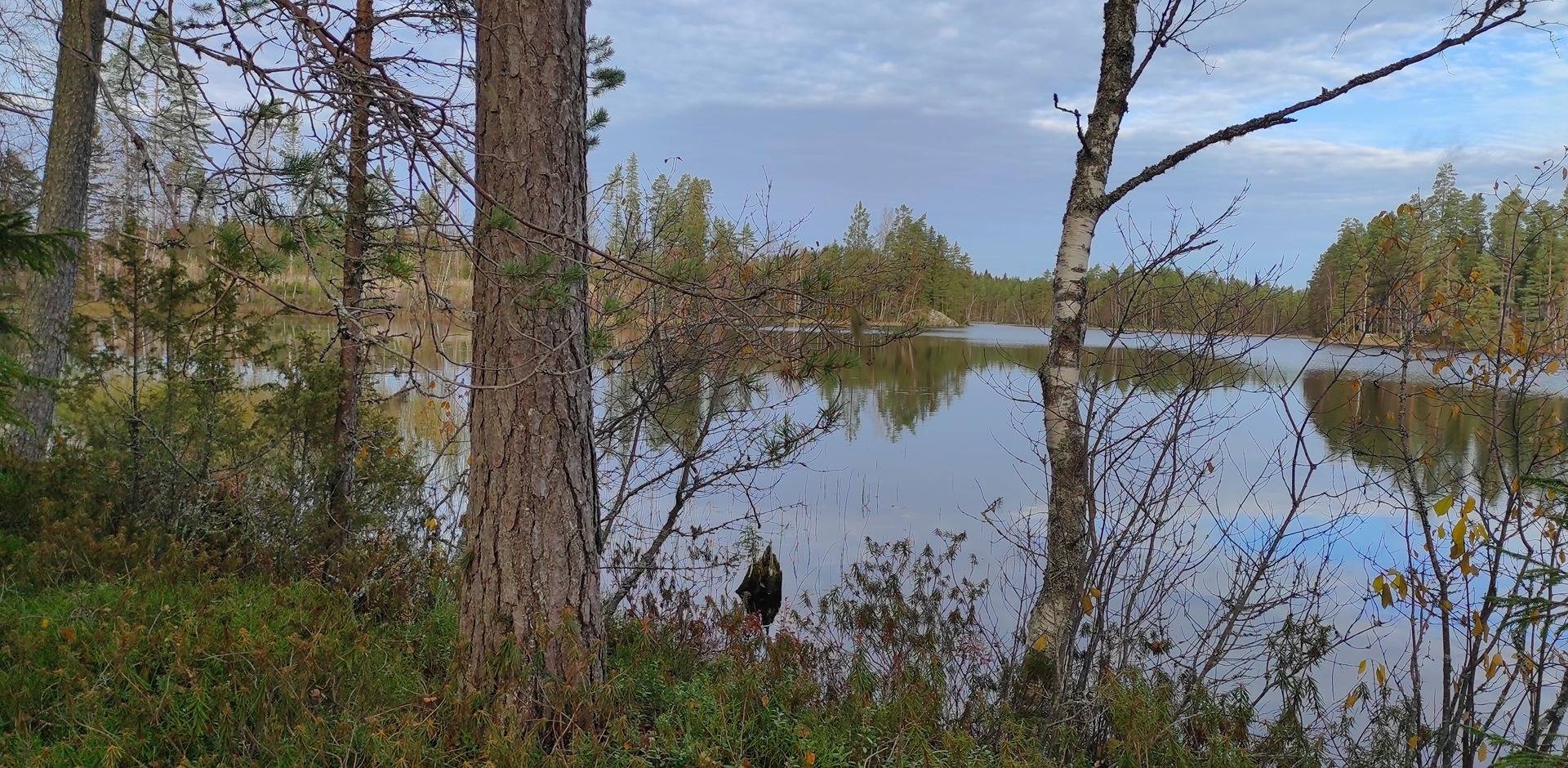 Vähä-Kauppila 576-414-2-95 määräala 1