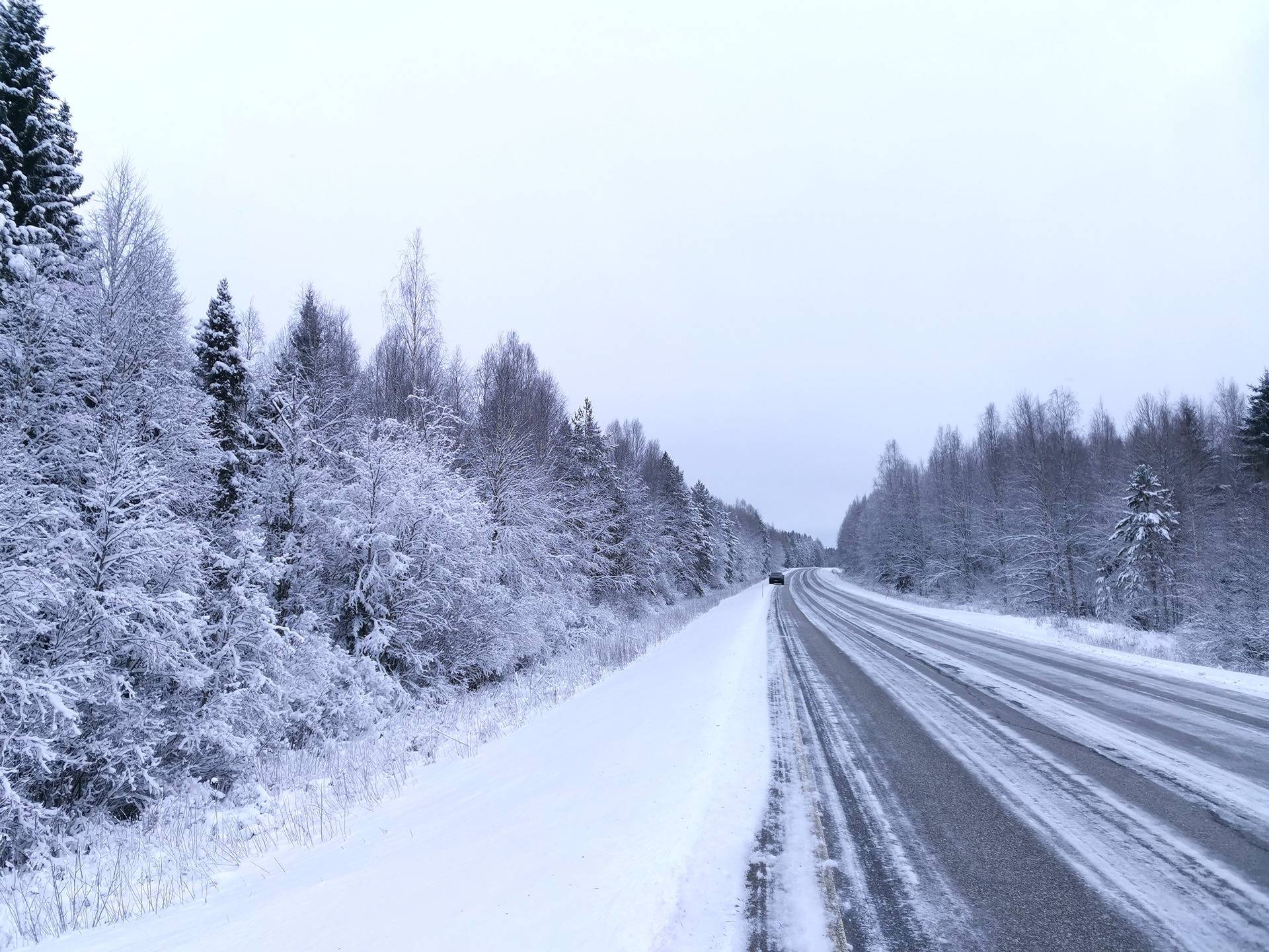 TAKALA 541-409-18-6 määräala, Lipinlahti 1