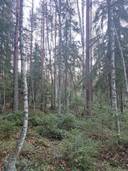 YLITALO OSA 151-405-5-60 1