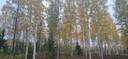 911-402-56-21, KALALA Määräala, Pajukoski 1