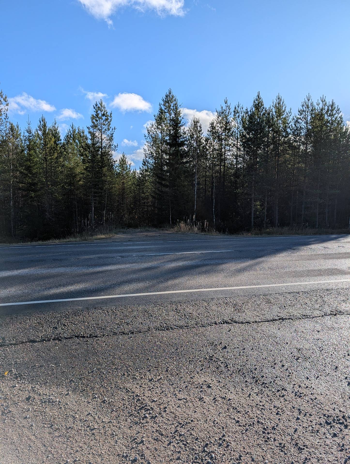 Metsämääräala Mikkola 697-401-31-34 1