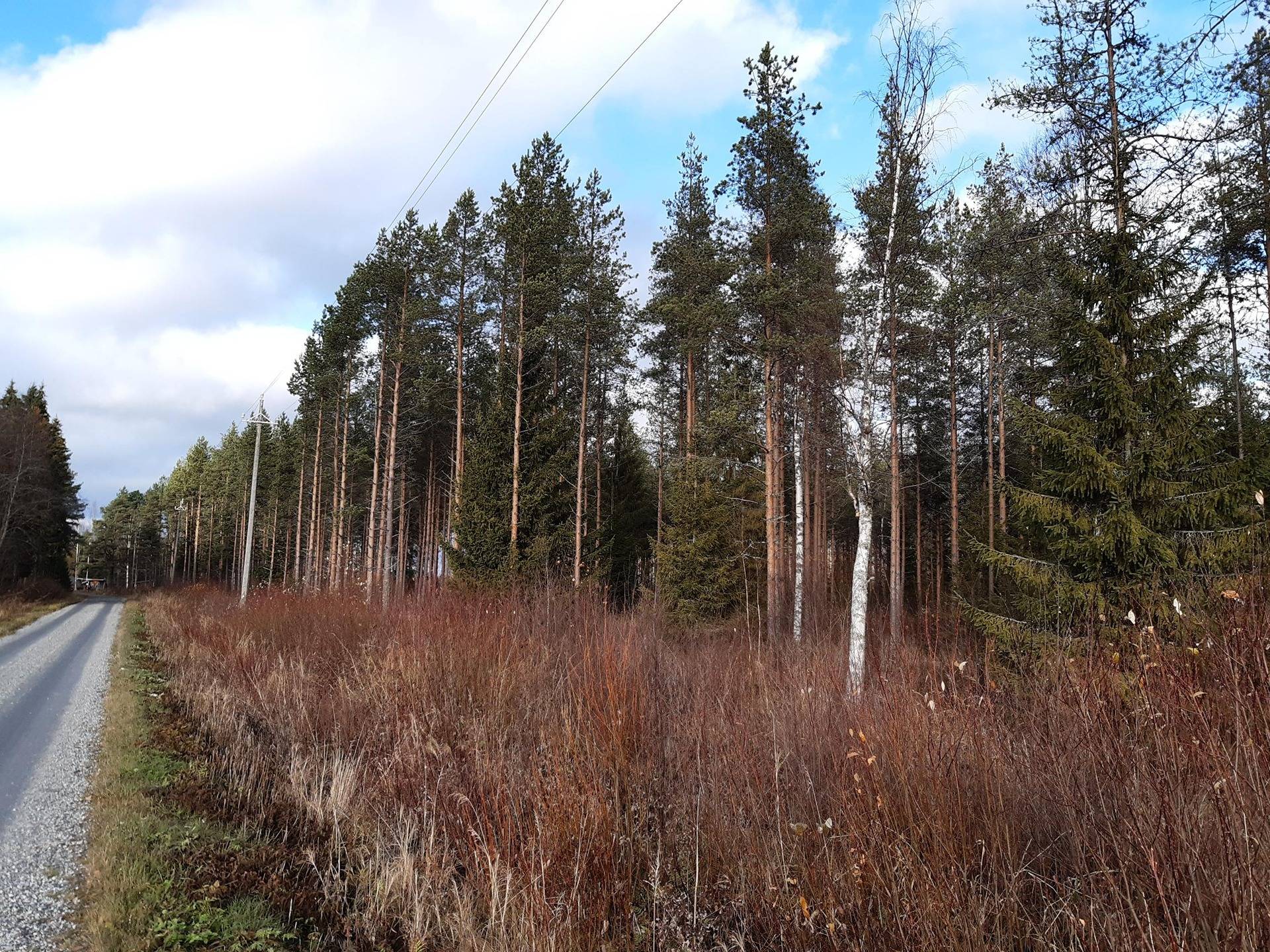 MUSTANJOKI 4:96 ja PUROLA 4:94, Oinasjärvi 1