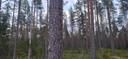 607-414-50-12 UKONNIEMI, määräala, Lahtolahti 1