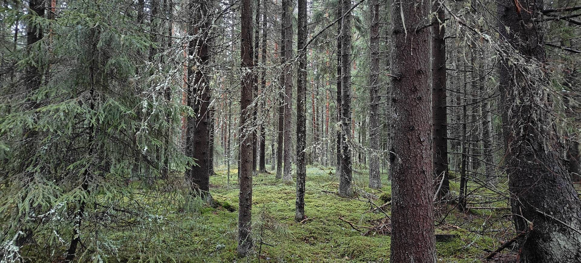 Seinäjoki, Mäki 743-416-4-793 1