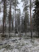 Hiitola 777-406-61-8 1