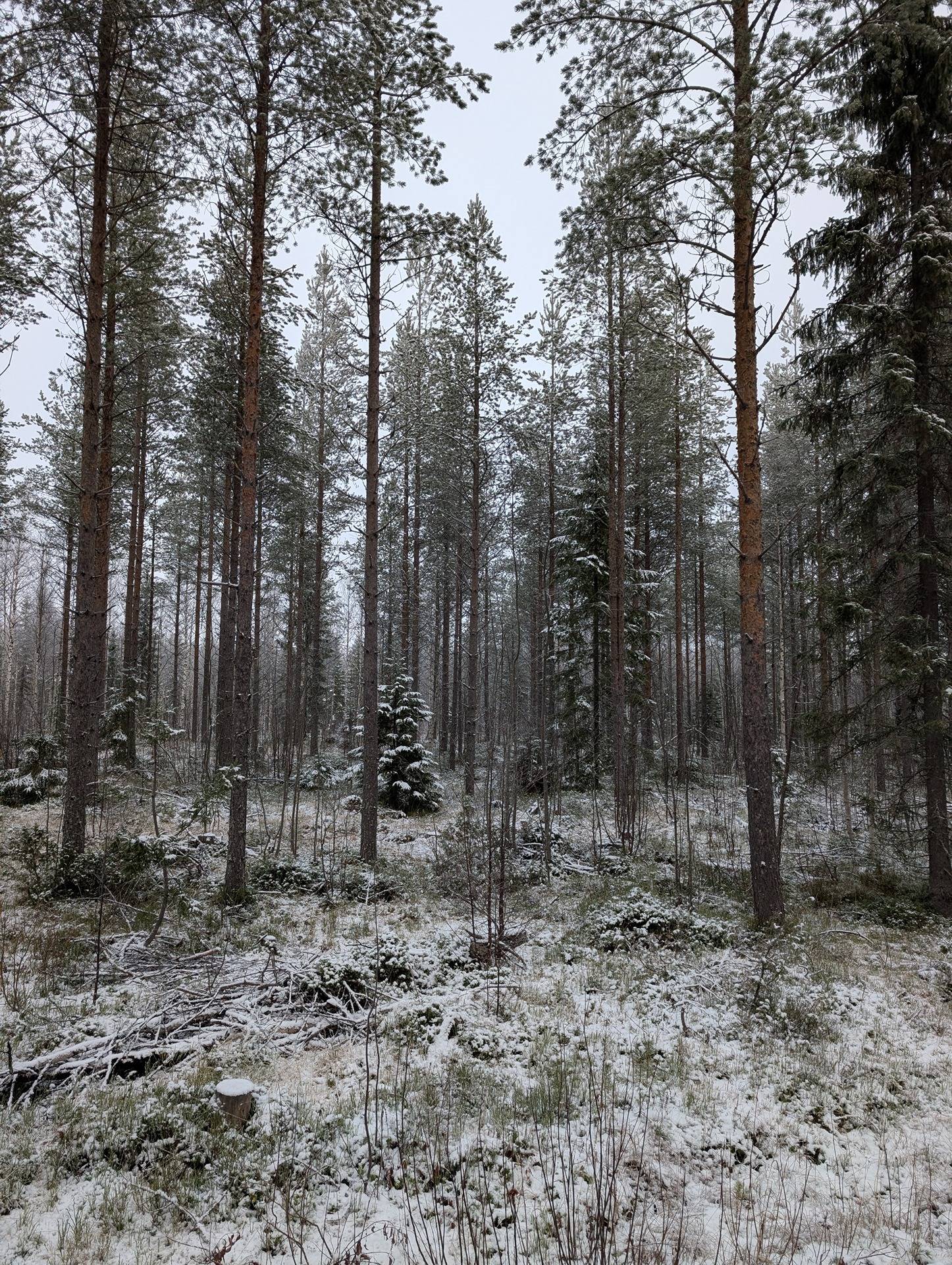 Hiitola 777-406-61-8 1