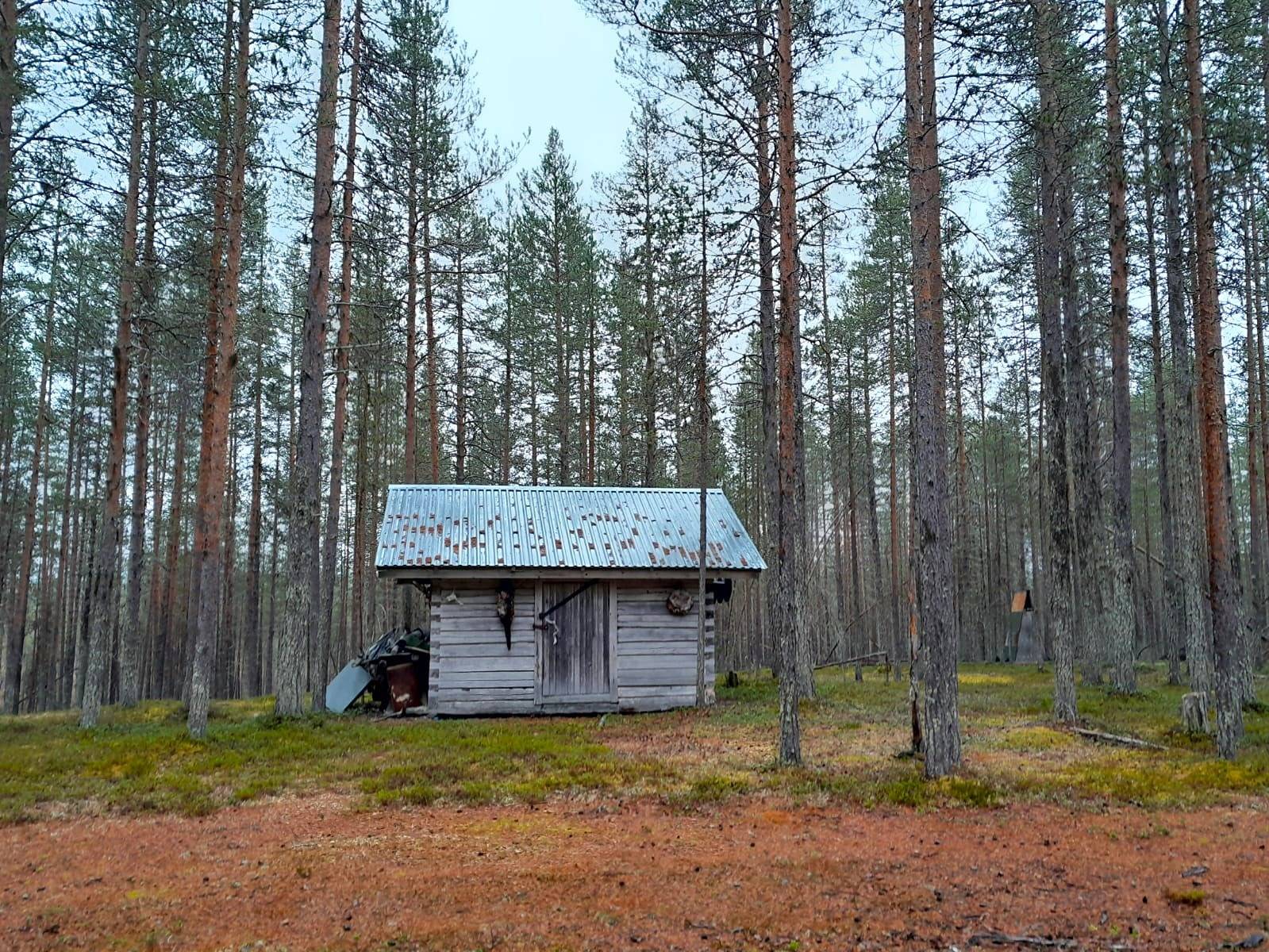 Pajula 261-401-1-30 1