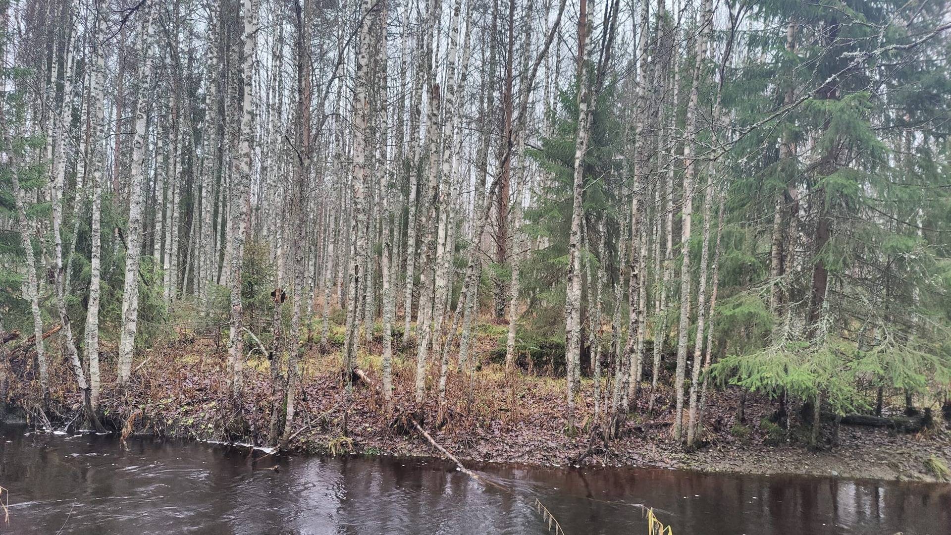 Purola 139-402-190-16  1