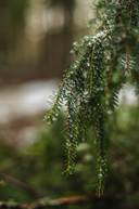 Stor-Filppus 3:31, Bäckby 1