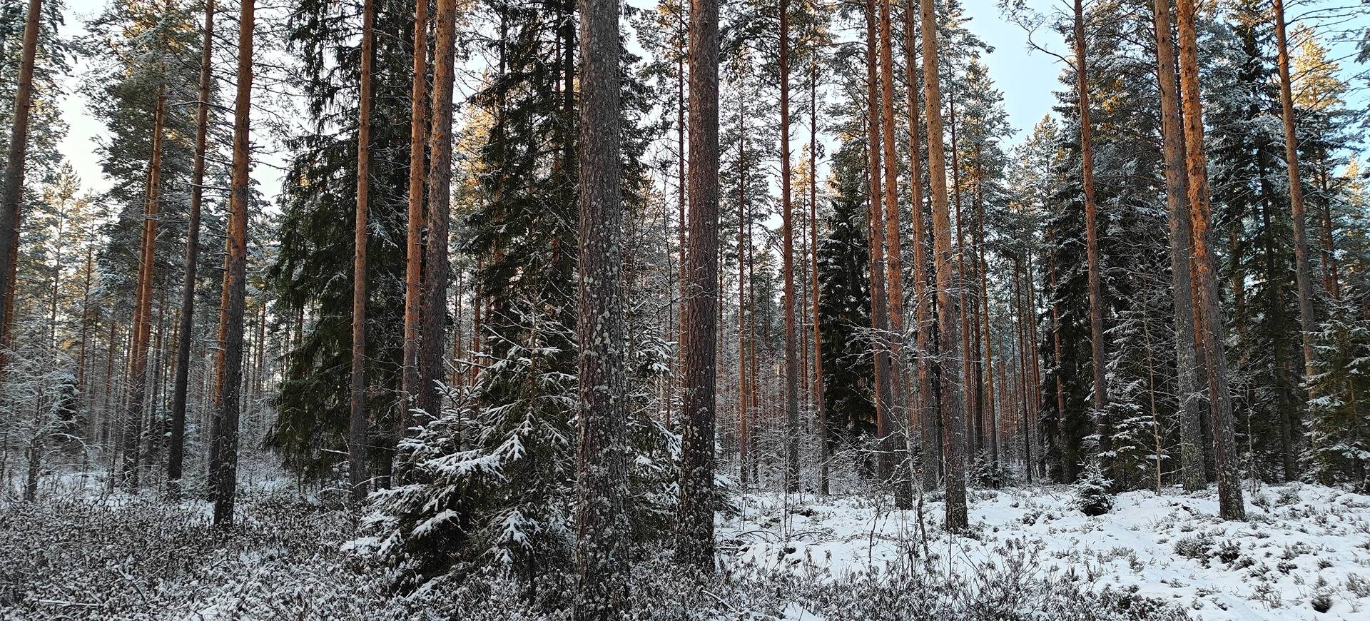 Kuortane, PITKÄMÄKI 300-402-34-93, RANKILA 300-402-34-72 määräala, RANKILA II 300-402-34-74 ja TUOMI 300-402-34-90 määräala 1