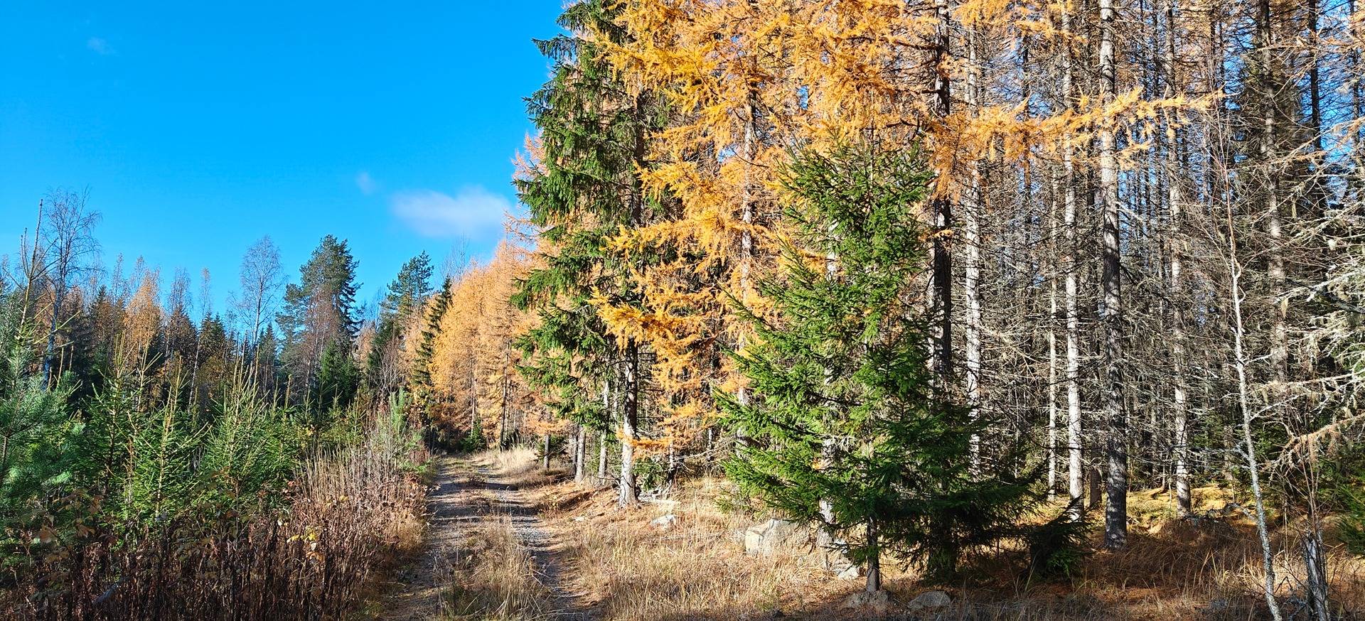 Vuorilahti, Koivisto 931-414-3-279, Mäkipelto 931-414-3-122 & Purontaus 931-414-3-71 1