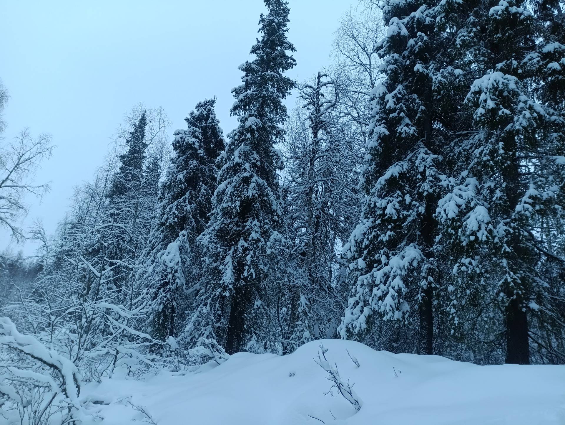 Jukolanranta I 583-402-61-28 1