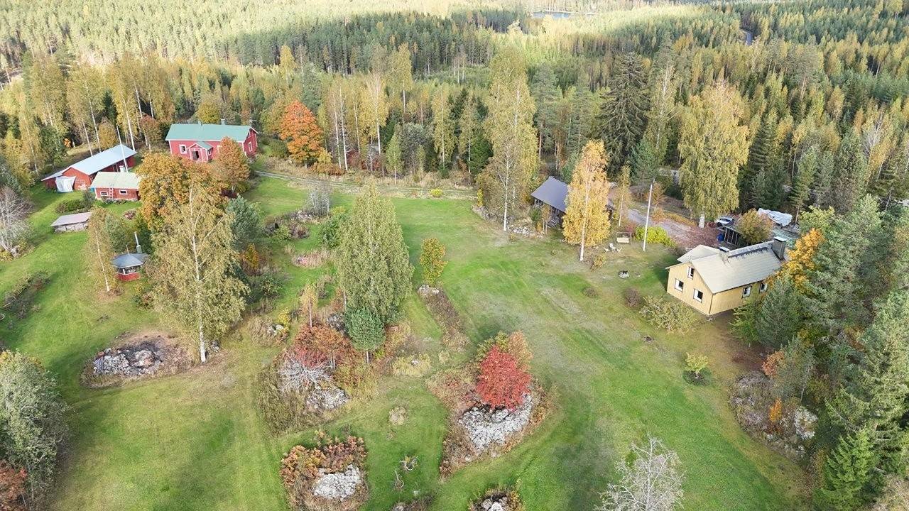 Vanha Kruununtorppa Ruovedellä (Juupajoki Lyly), Koivisto ja Kruununnaapuri 1