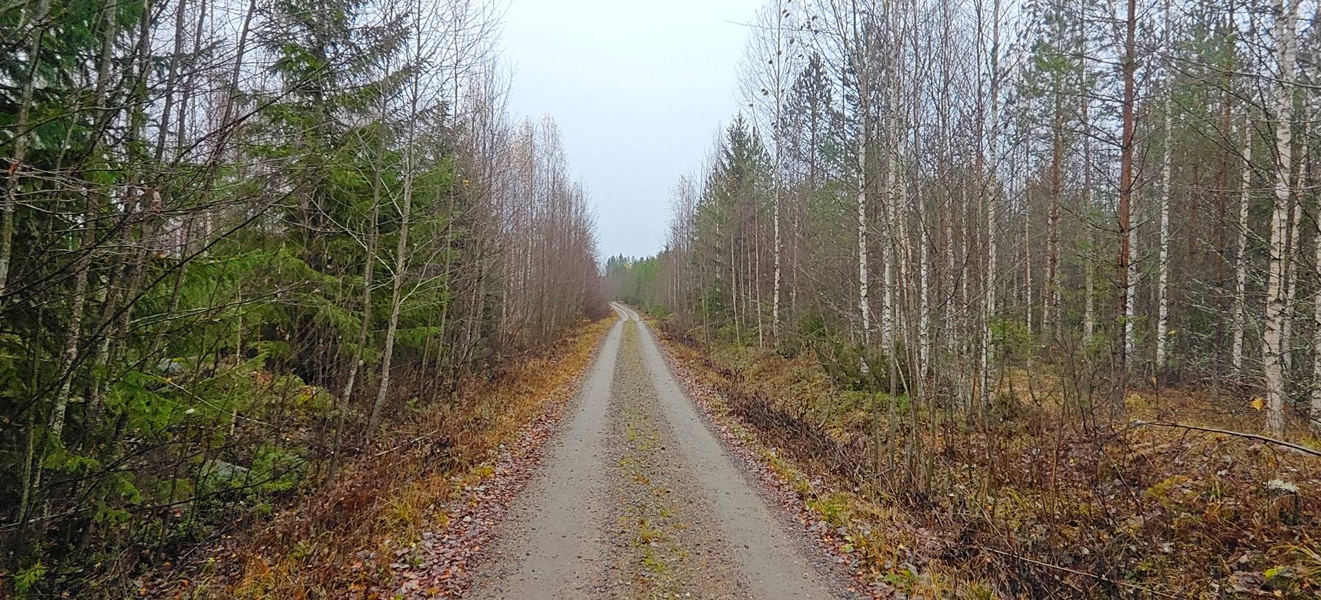 Rekola, Männikkö 256-401-1-72 1