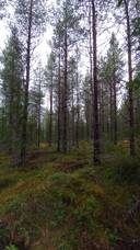 Namalikonniemi 698-402-160-18 1