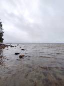 Jokela 297-478-2-31 metsä ja tontti 1