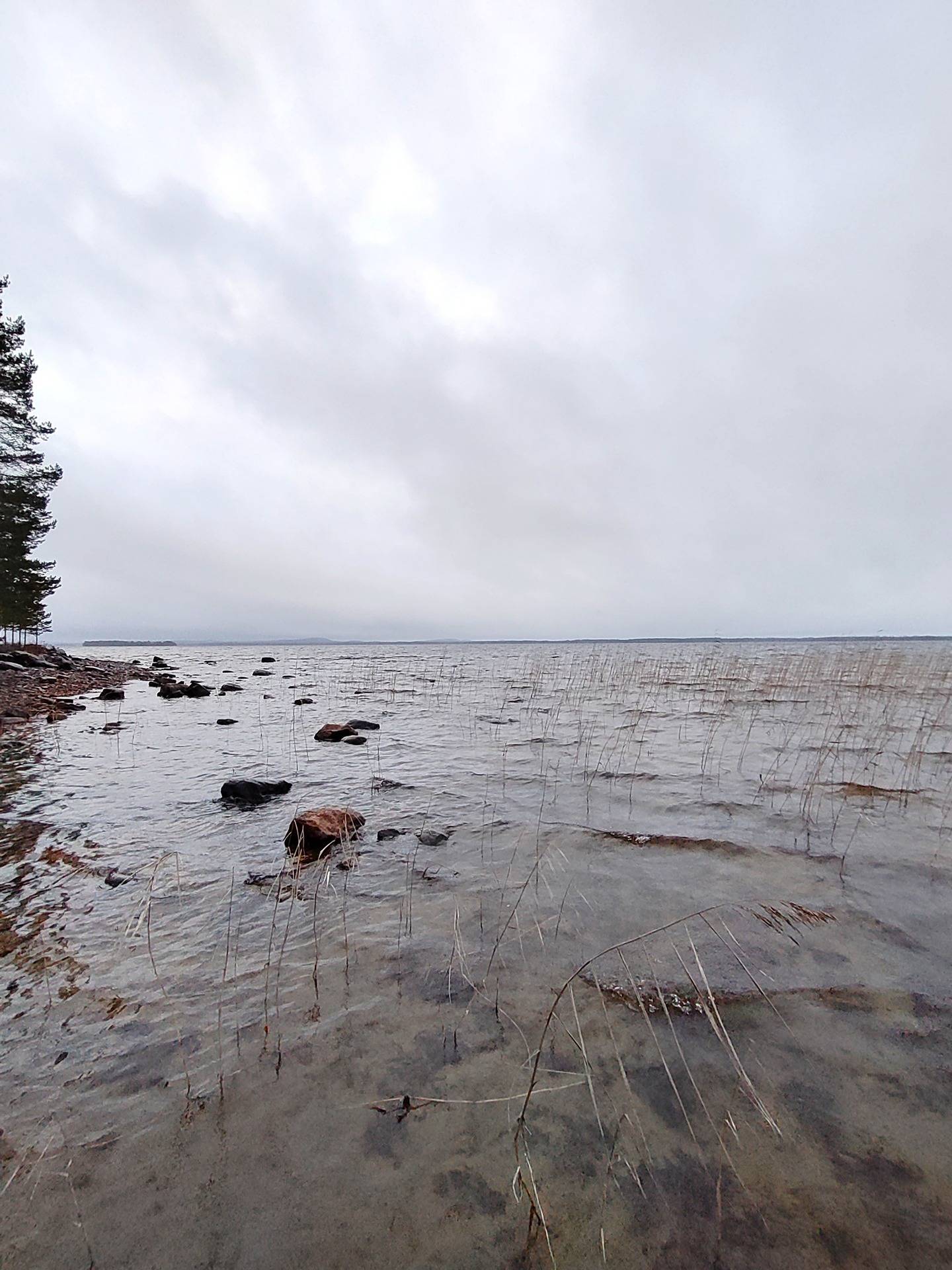 Jokela 297-478-2-31 metsä ja tontti 1