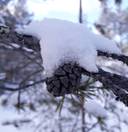 Kuusamon yhteismetsä osuus 0,017500 ja 9,3 ha määräala 1