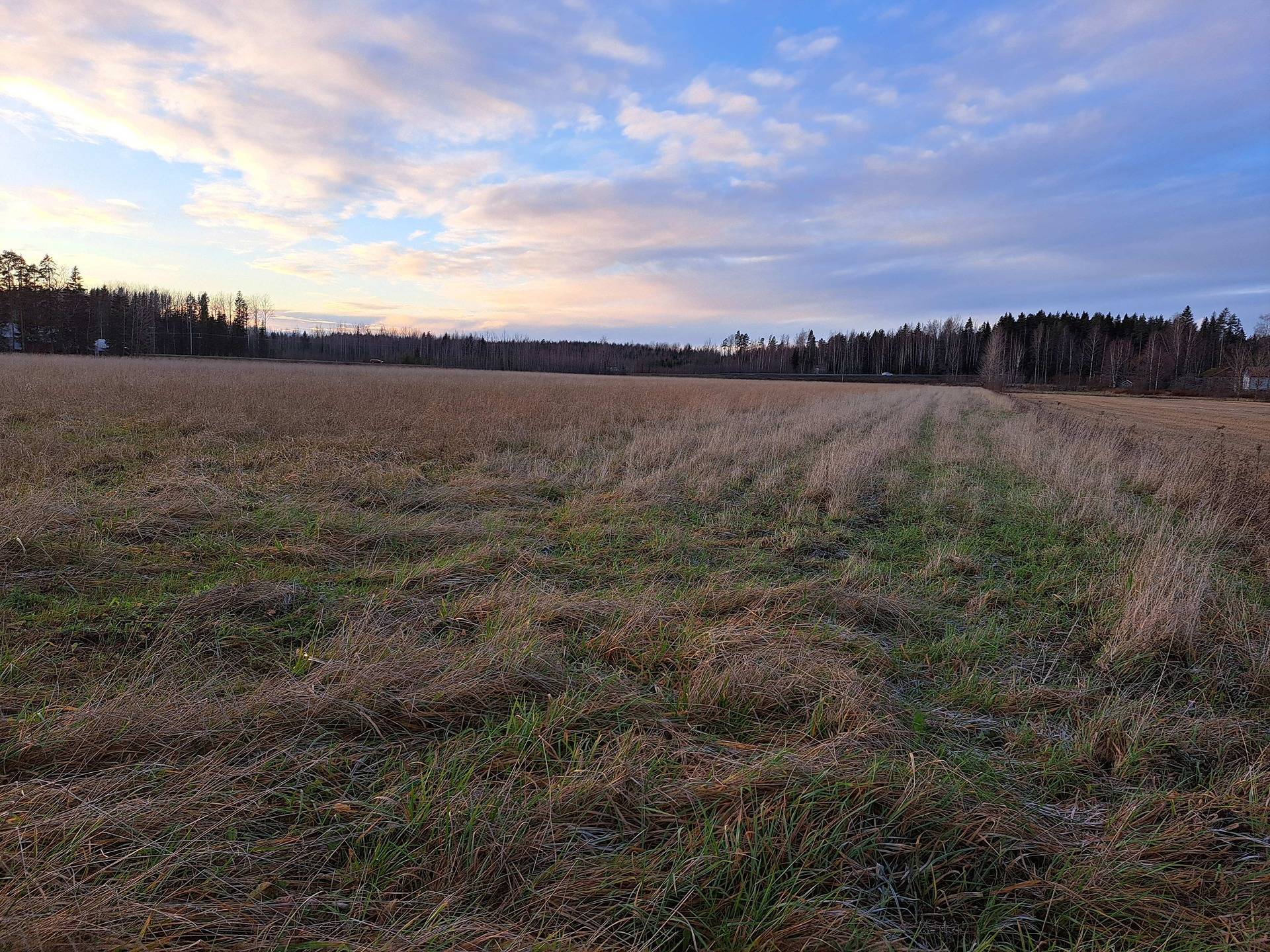 Sani 286-413-6-13 (määräala) 1