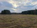 Saloheimo 1:116 -peltoa ja metsää 1