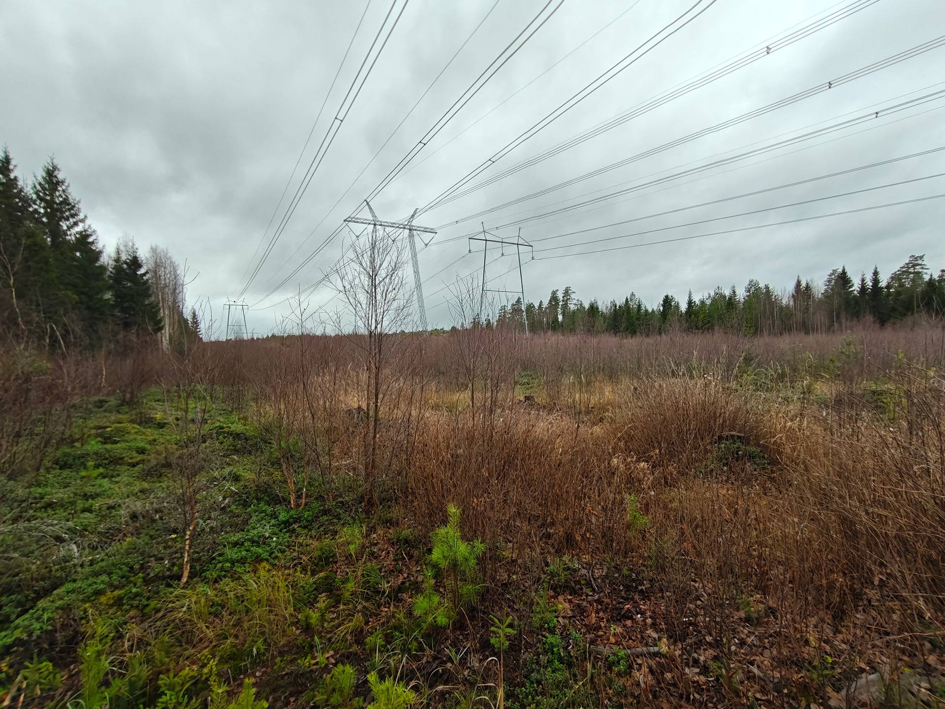 Tallmo 4:81, Lappfjärd/Lapväärtti 1