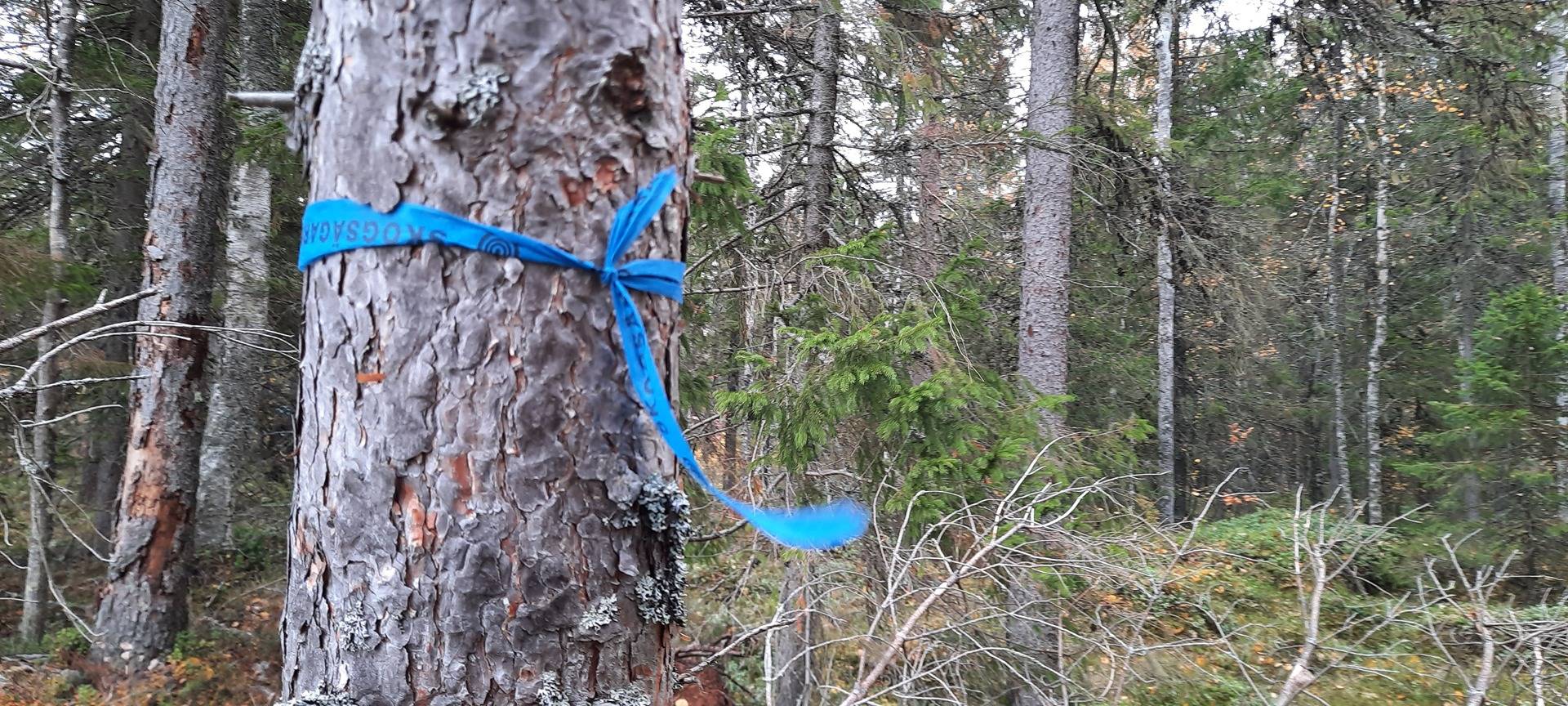 del av/osa Vaktar 22:4, Forsby 1