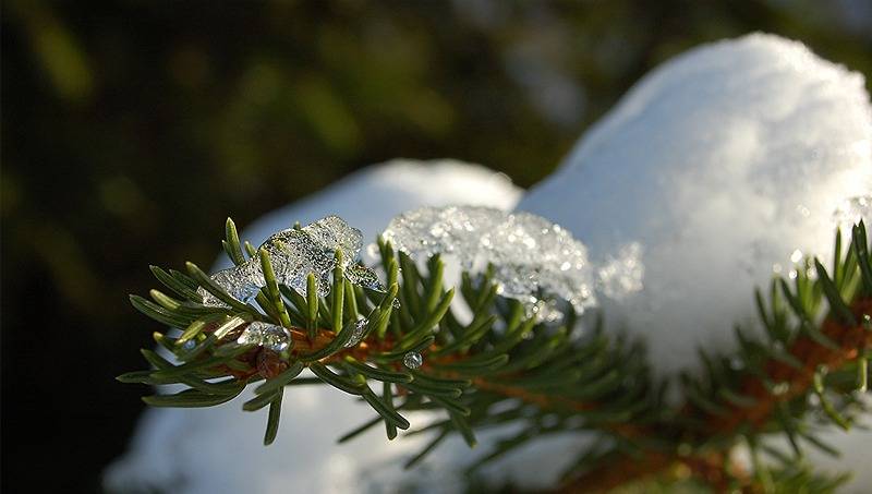 del av/osa Rönnlund 4:9, Forsby 1