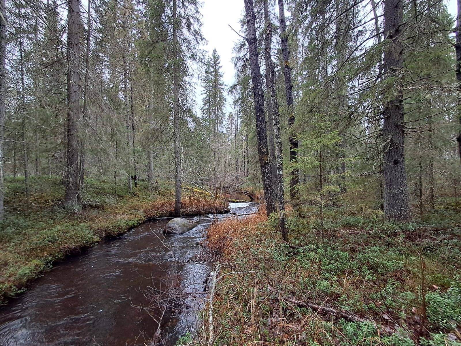 Ollila 139-402-147-57 1