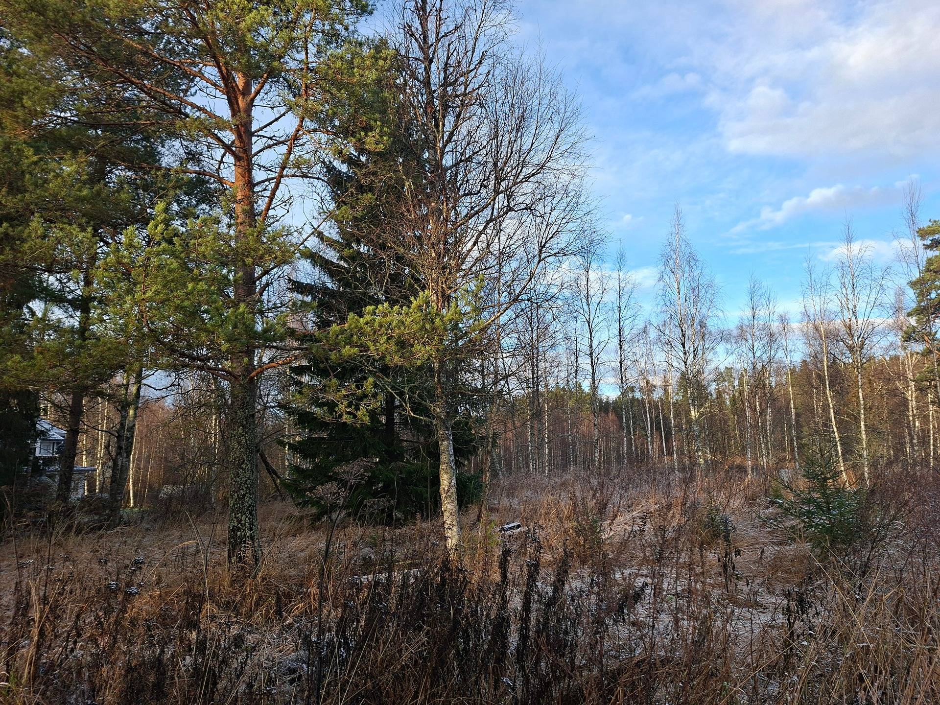 OKT rakennuspaikka Lempäälän Kuljussa Aksuntie 1 1