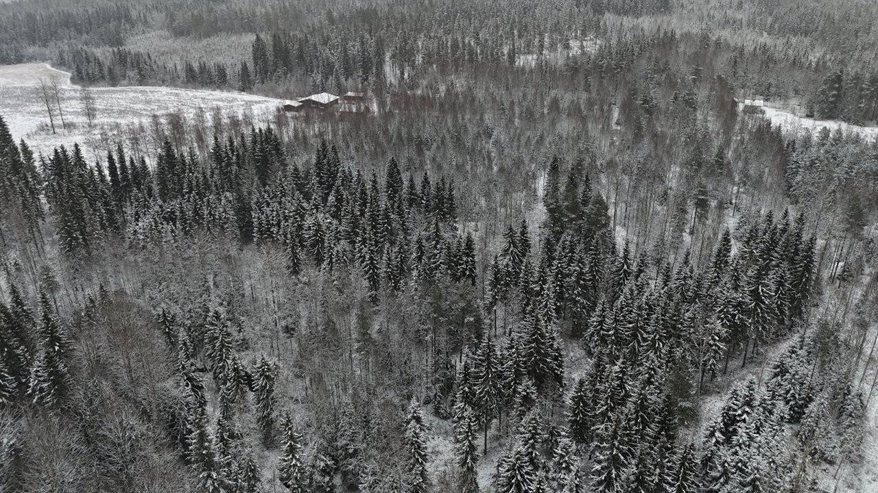 Ruovesi, Jäminkipohja,metsätila, Uusimoisio 1