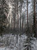 Nojola 578-404-8-29 ja Ketomäki 578-404-34-7 1