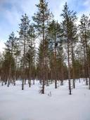 Järvenpää 305-415-42-22 1