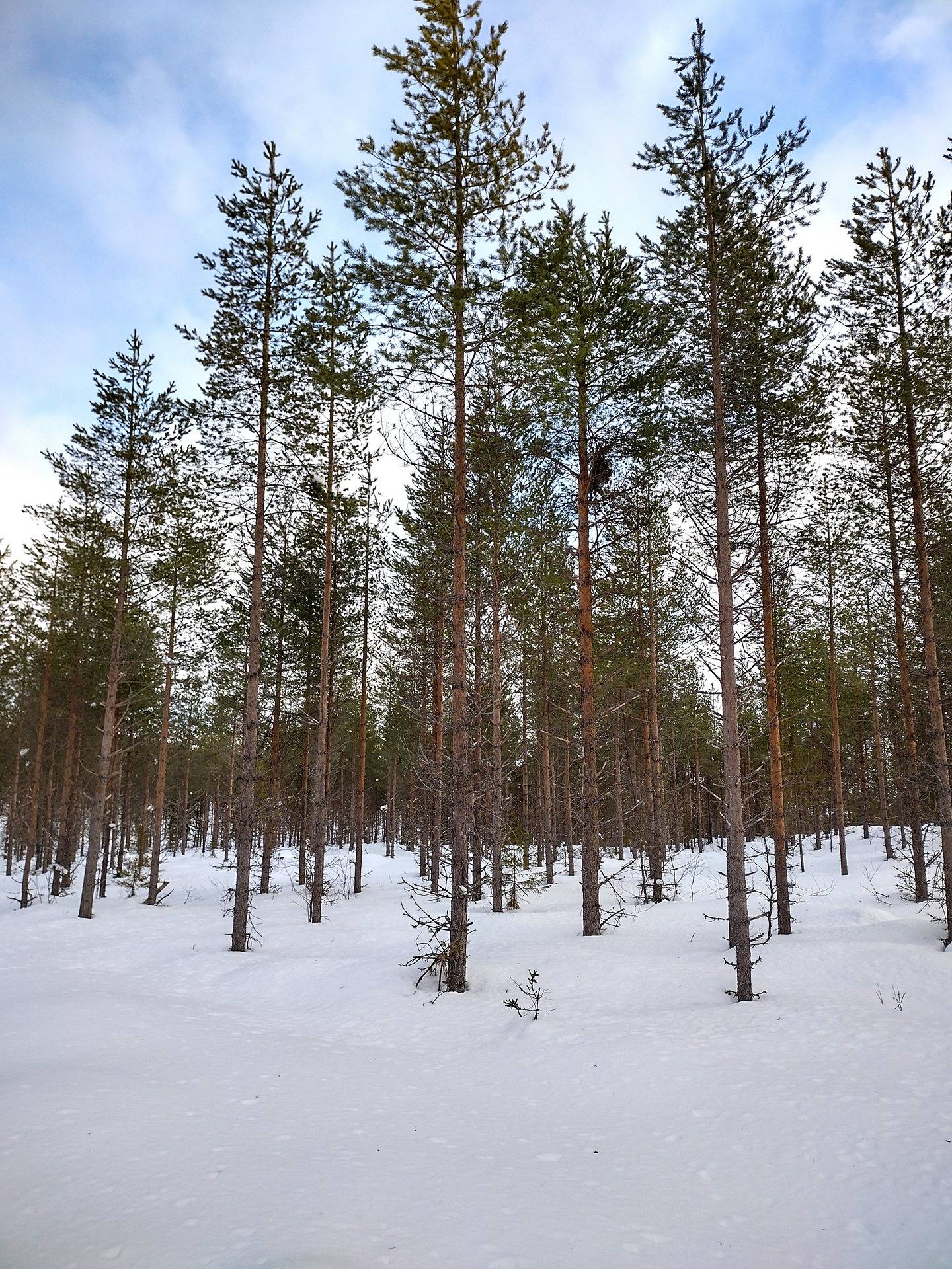 Järvenpää 305-415-42-22 1