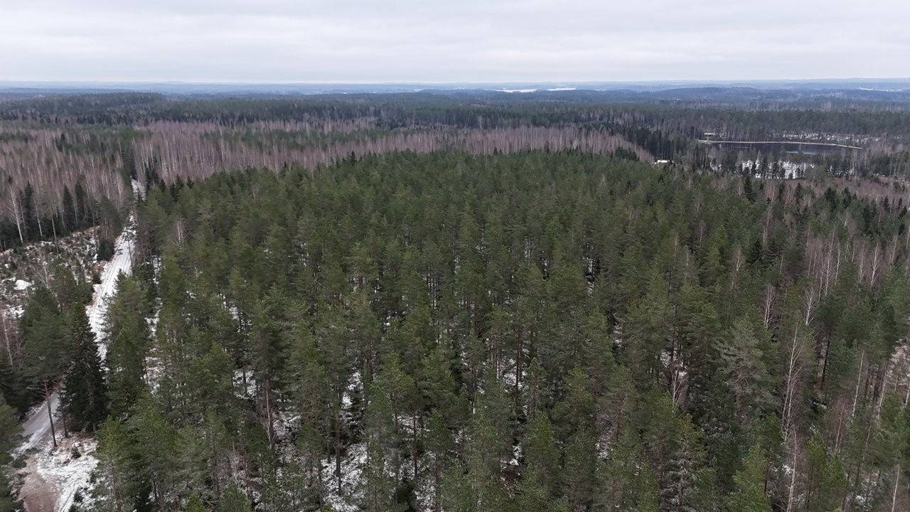 Akaa, Vähä-Arajärvi, metsätila Ahvenistenkorpi 1