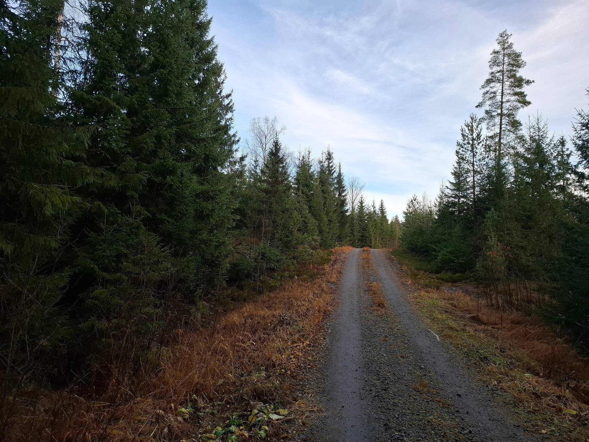 Vanhaliuha 1:25 määräala 1