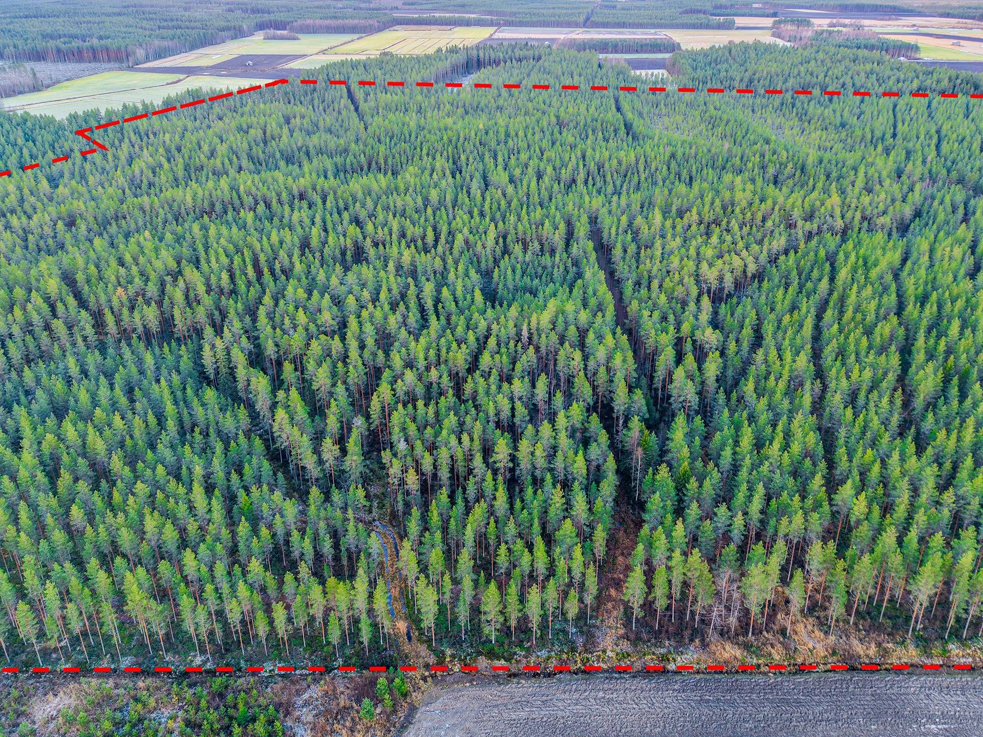 Lapua, Tiistenjoki, Metsämäki 408-408-1-36 1