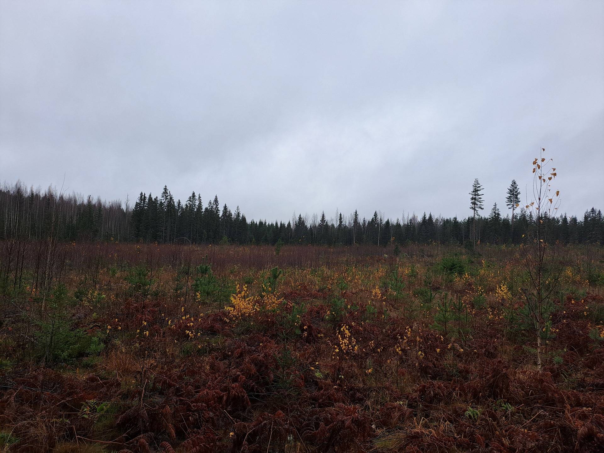 Perintö 142-408-9-37 ja Perintö II 142-408-9-72 1