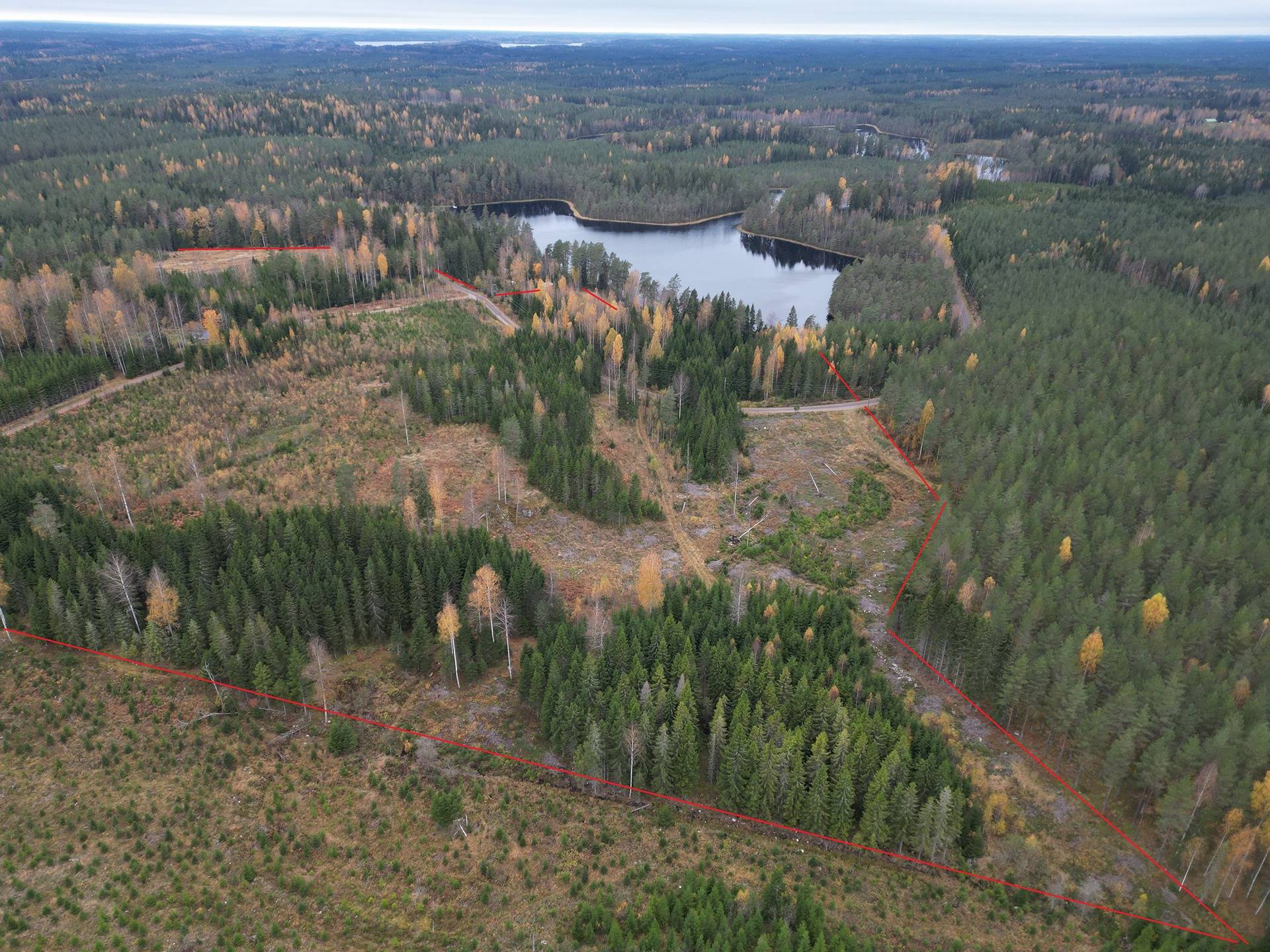 Metsätilat Karhuhuhta ja Haapamäki, 17 ha, Somero, Härjenoja, 1