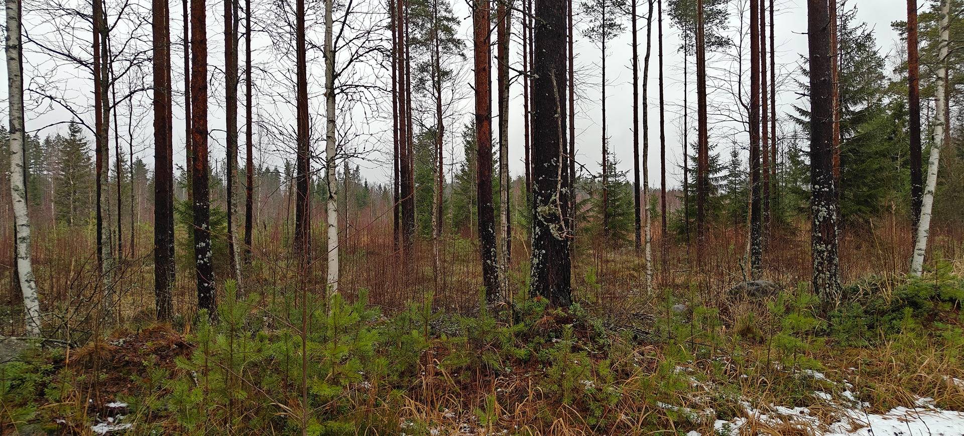 Seinäjoki, VÄÄRÄ 743-413-9-94 1